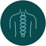 Best Spine Alignment Chiropractor in Delhi NCR | Anodyne Spine